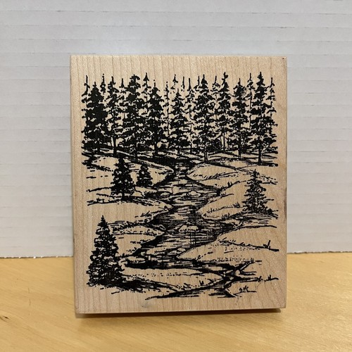 Northwoods evergreens trees - northwoods,