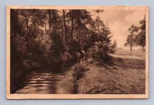 Antique german postcard woods - german,